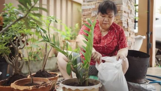 亚洲老年女性在家花园工作