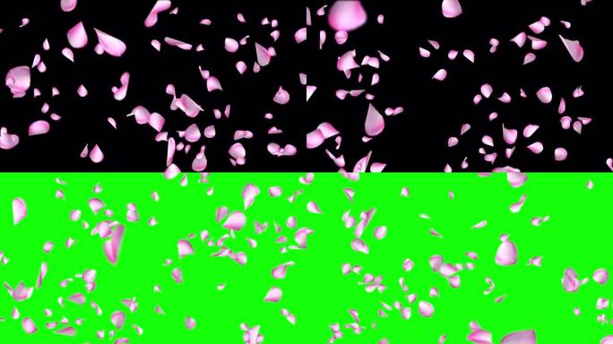 花瓣掉落循环背景绿屏动画。