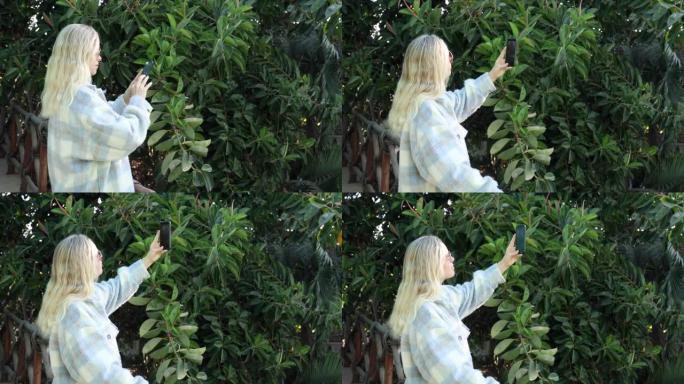 女人用智能手机拍摄绿色森林