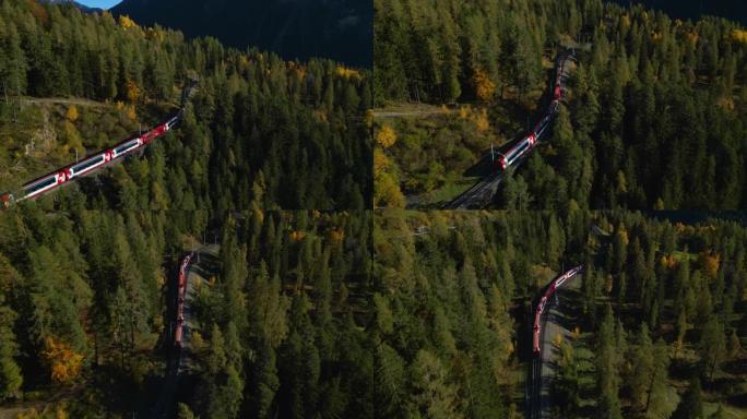 瑞士秋季火车进入松林的鸟瞰图