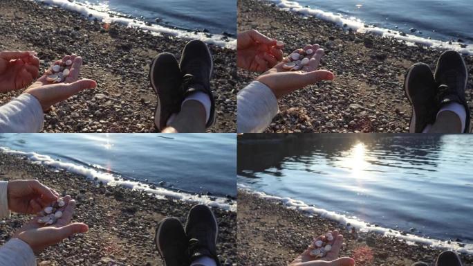 从湖岸收集贝壳的手的特写视图