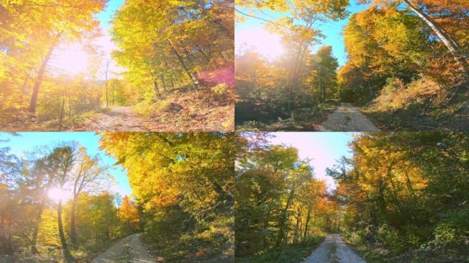 LD在碎石路上行驶，穿过阳光明媚的秋天森林