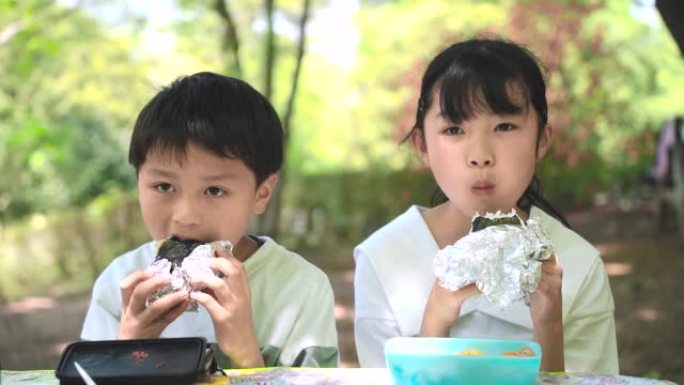 小学男孩和女孩在公园野餐