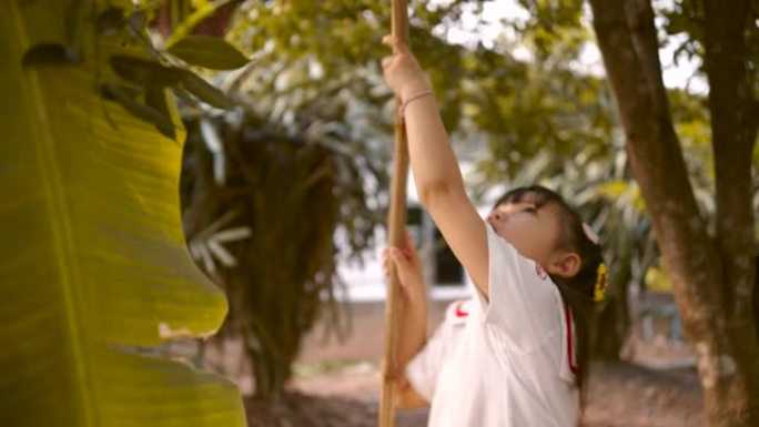 亚洲女孩骑在脖子上在后院采摘水果