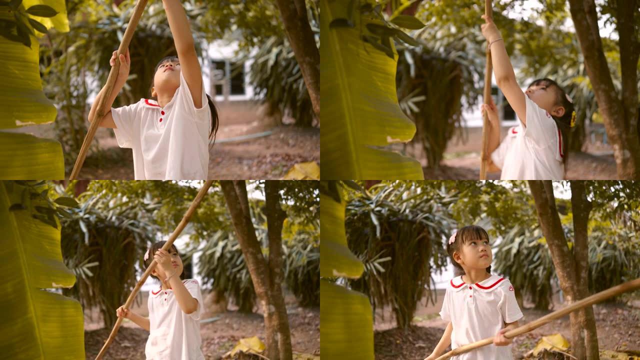 亚洲女孩骑在脖子上在后院采摘水果