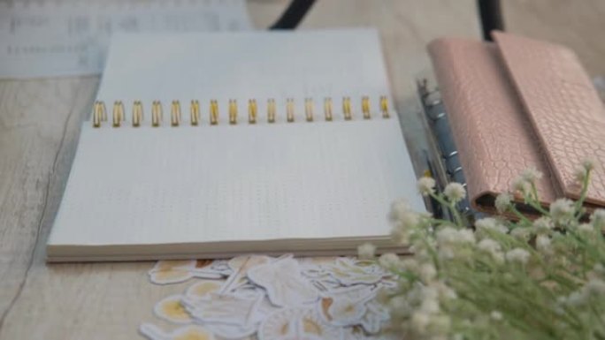 一位年轻女子的手在桌上8月的簿记日记中写下