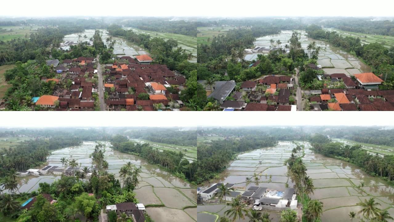 巴厘岛村的航拍，街道尽头看到的水淹稻田