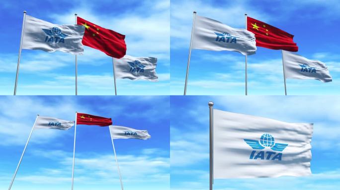 国际空运协会旗子空运协会