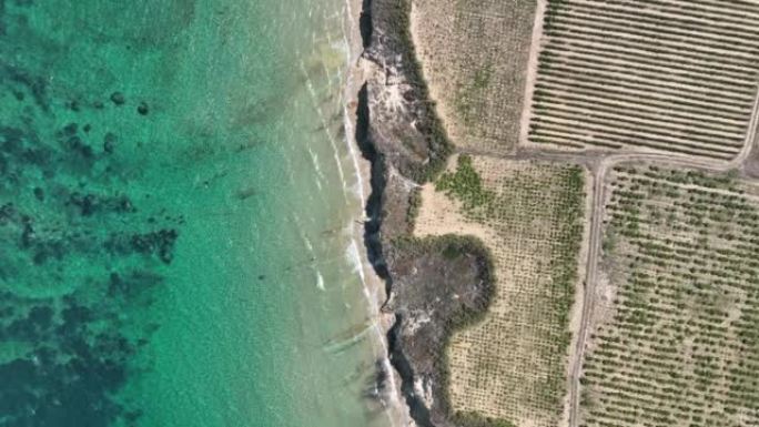 博兹卡达岛葡萄葡萄园无人机视频，卡纳卡莱土耳其