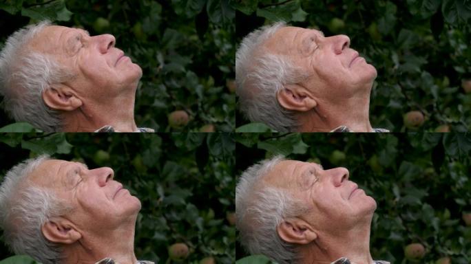 公园里的肖像老人抬起头，闭上眼睛，深呼吸