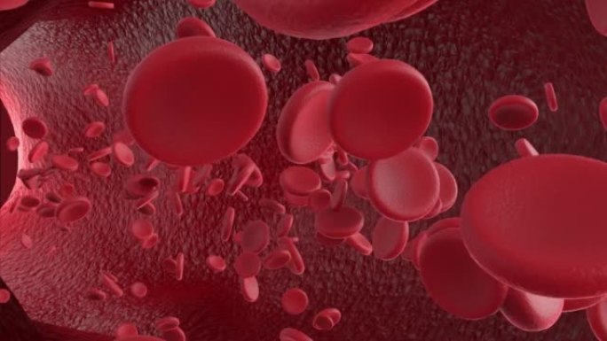 红细胞流动红细胞