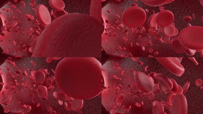 红细胞流动红细胞