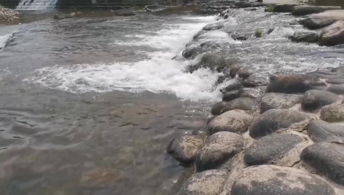 大自然 水资源 生态 河流 流水 水