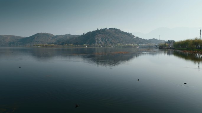 云南高原湖泊风光茈碧湖面水鸟