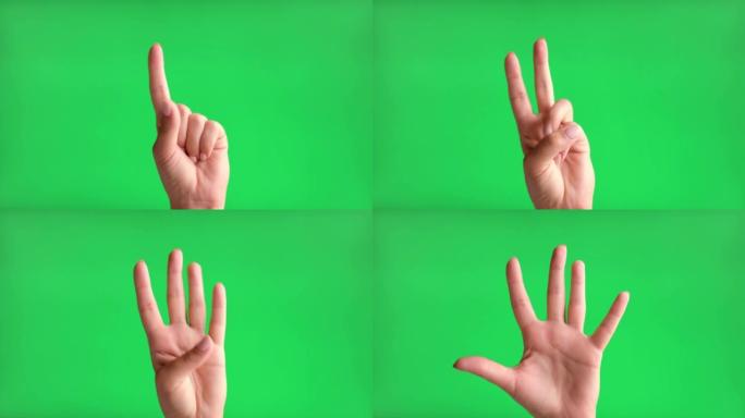 女性手掌侧手在色度键背景上数到五。特写。女人在绿屏上打手势计数孤立。4k镜头。数字计算。用手指从1到