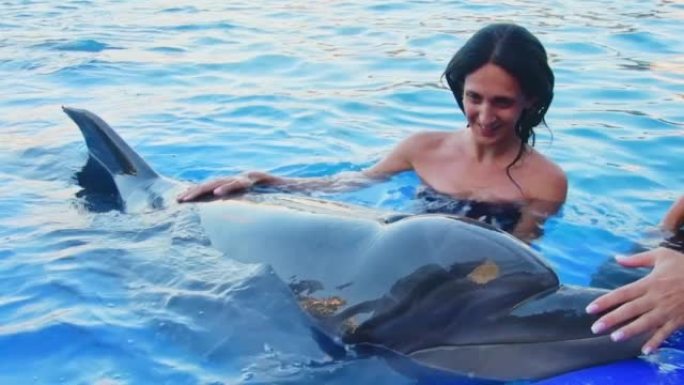 游客在海豚馆拥抱可爱的海豚，名叫莫妮卡。巴统乔治亚海豚馆游泳与海豚体验