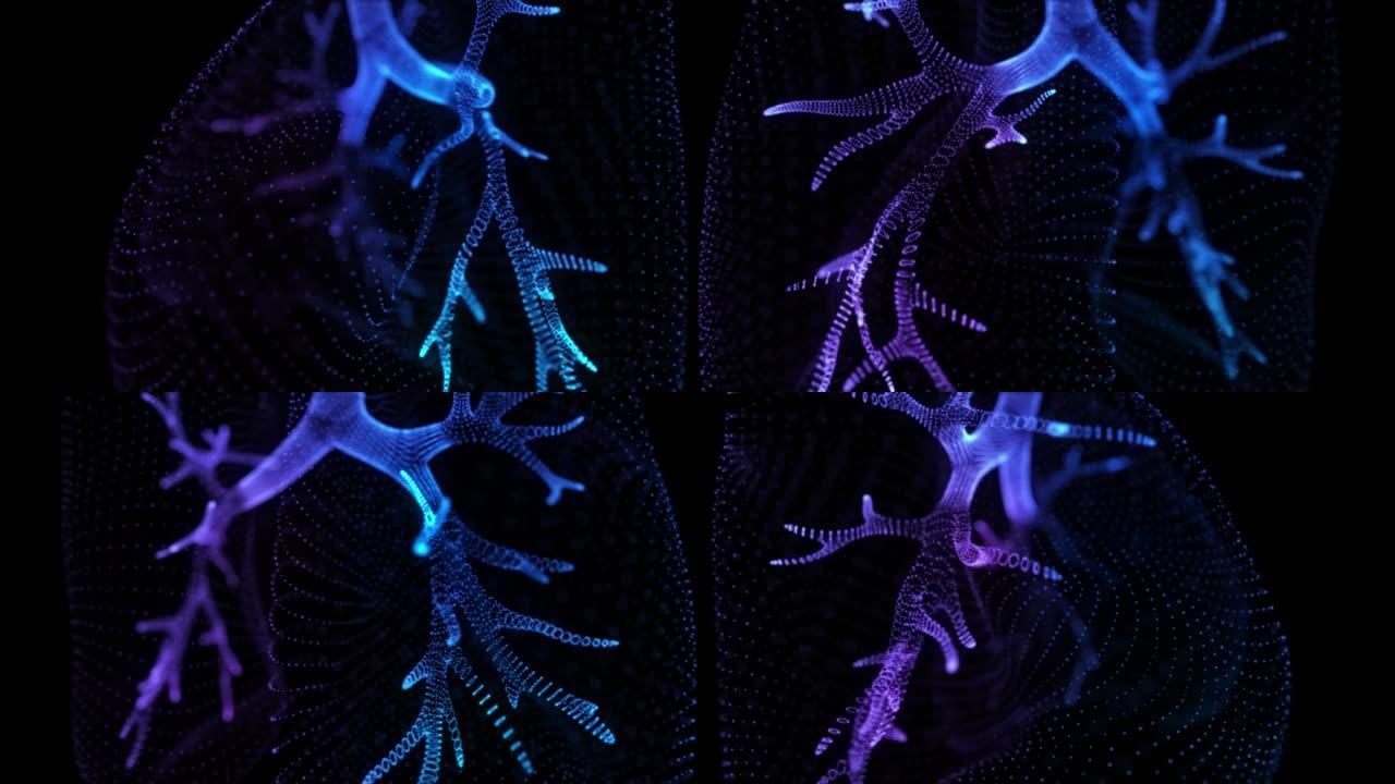 旋转360程度的人的肺。人肺模型的发光蓝光粒子点。3d虚拟空间中的无缝循环运动动画神经元