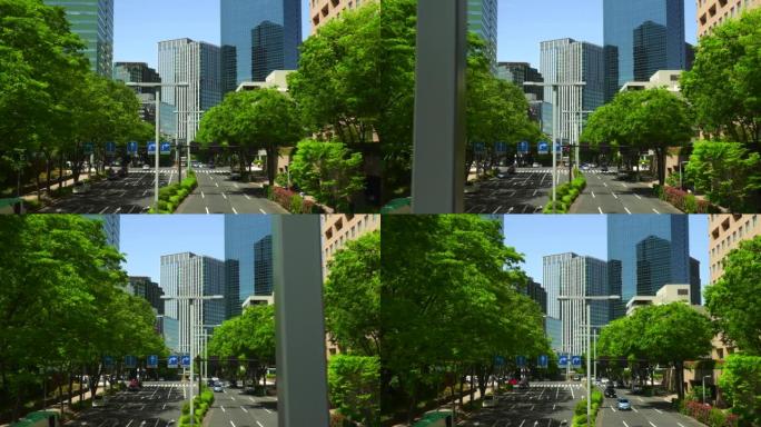 道路和交叉路口。拥有新鲜绿树的现代化办公楼