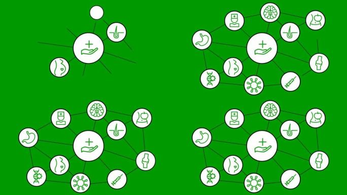 白色圆圈中的动画线医学图标。绿色符号。孤立在绿色背景上的线性矢量插图。