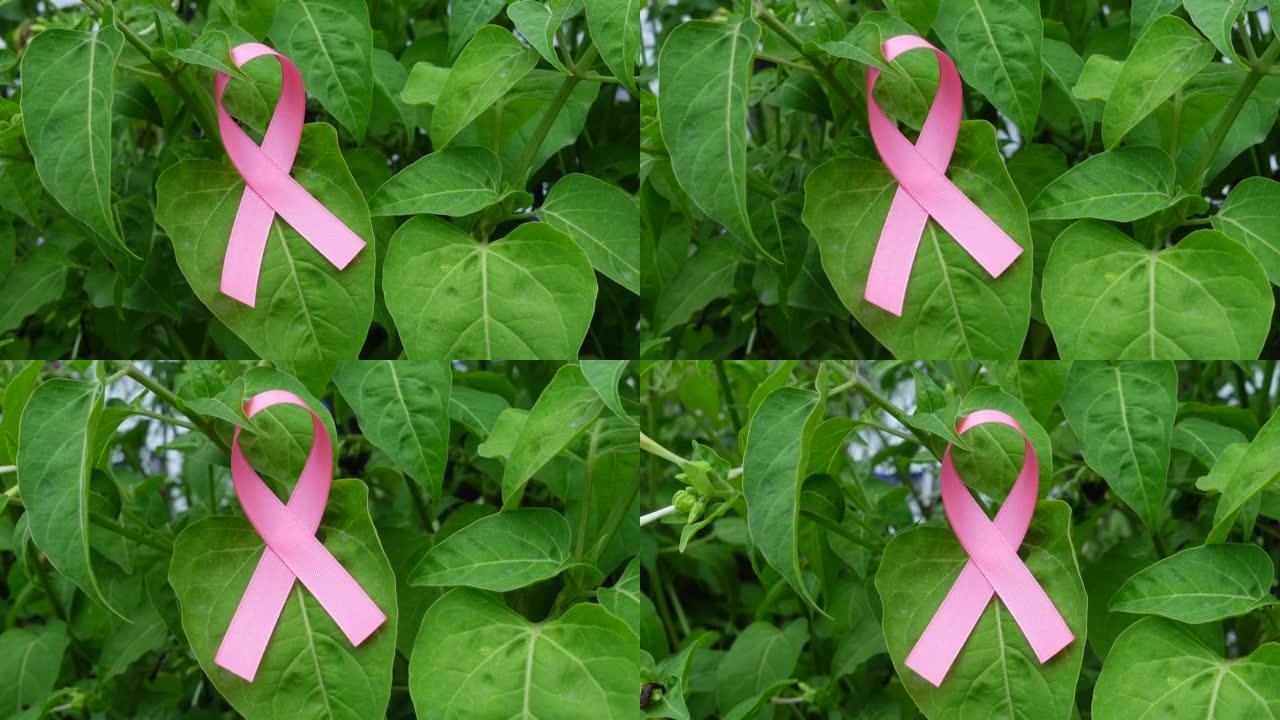 绿叶背景上的粉红丝带乳腺癌意识图标徽章。世界癌症日，10月粉红日，全国癌症幸存者日概念。