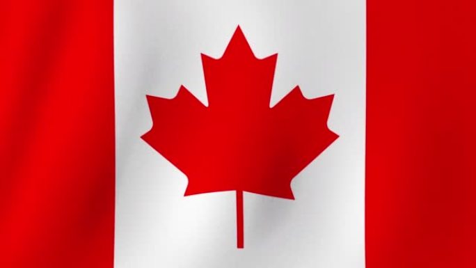 背景飘扬的加拿大国旗，4K动画。