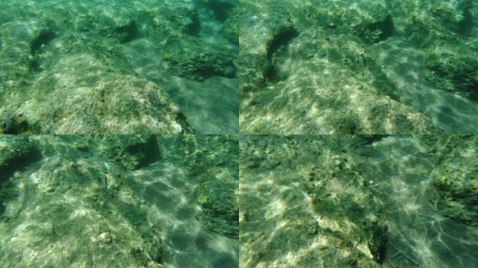 与五颜六色的鱼一起浮潜时海床的美丽景色。希腊。