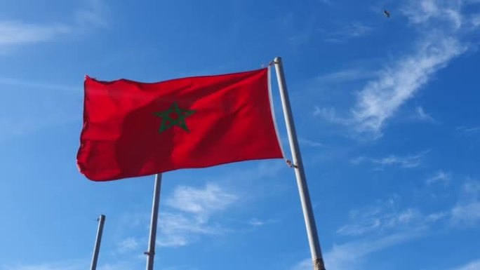 摩洛哥国旗在蓝天下挥舞