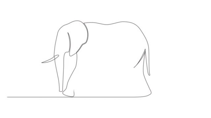 孤立在白色上的大象的动画单线图