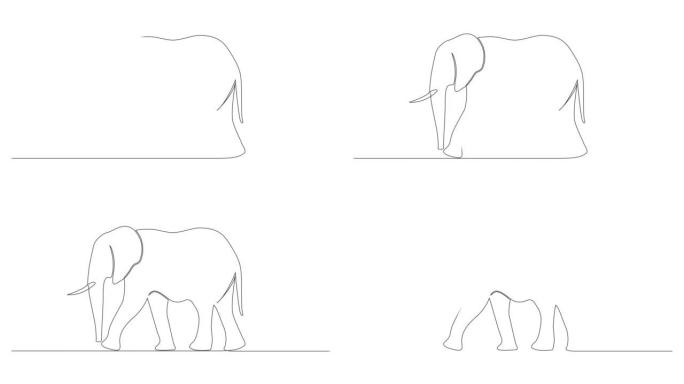 孤立在白色上的大象的动画单线图