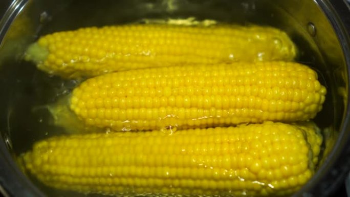 在沸水中烹饪年轻的玉米棒。玉米在不锈钢锅中煮沸。准备的甜黄玉米视图