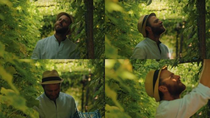 Organic gardening. Smiling caucasian farmer in a s