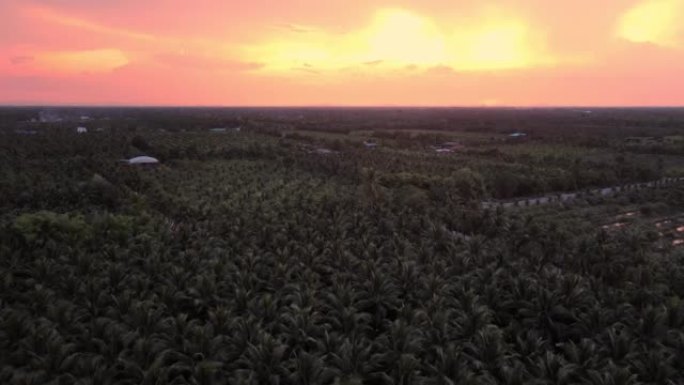鸟瞰图无人机飞过椰子树，夕阳五彩缤纷。暑假背景。