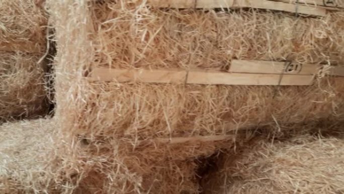 在印度较冷的木棉垫制造商的货盘中平移木棉草库存的视频是夏季的
