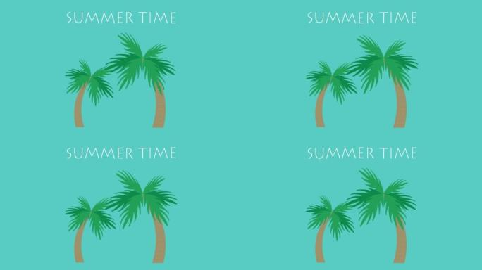 夏天的时候。棕榈树。