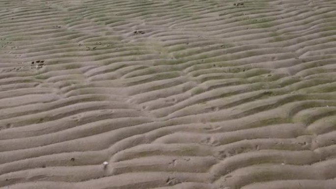 背景湿抽象沙纹