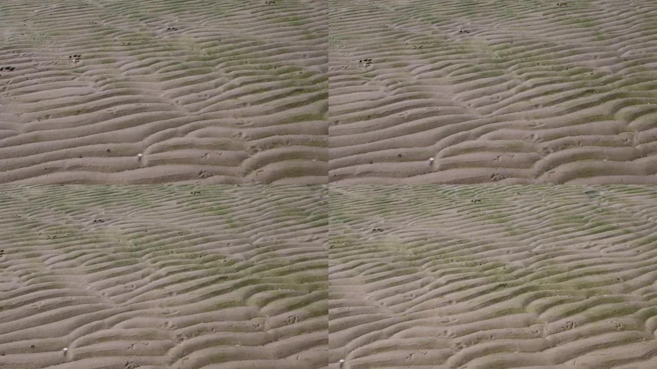 背景湿抽象沙纹