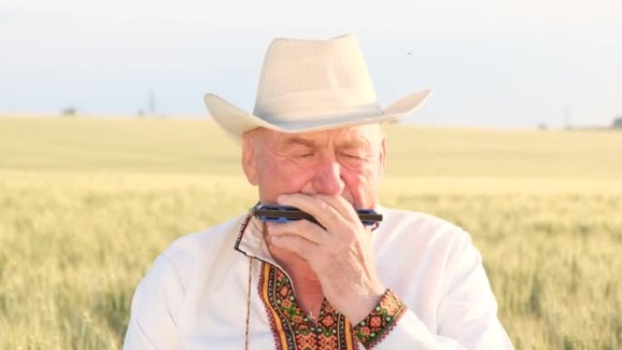 祖父在麦田中间吹口琴。乌克兰的老祖父