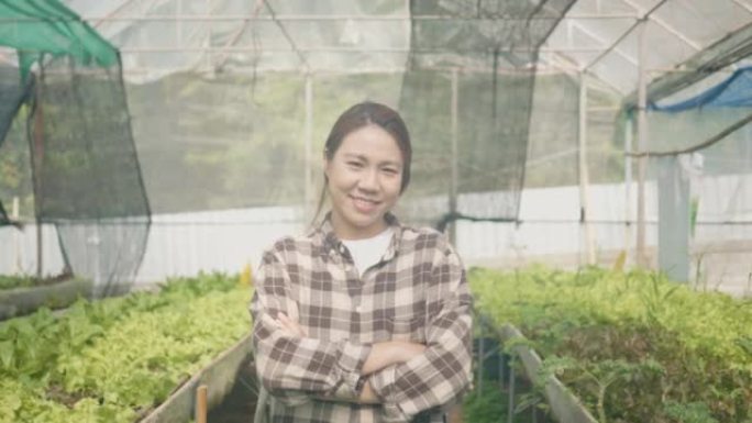 在农场工作的女农民，以实现可持续的未来水培生菜