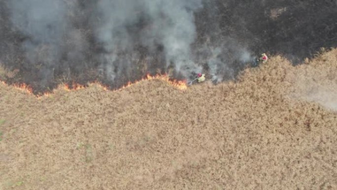 燃烧的农田。消防部门扑灭的巨大谷物大火。