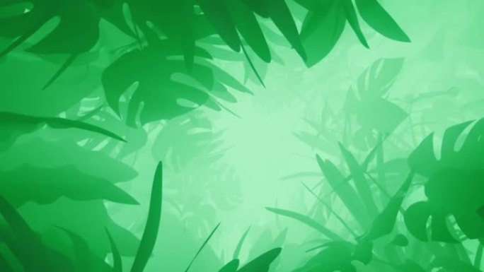 丛林绿色植物隧道的动画