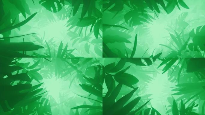 丛林绿色植物隧道的动画