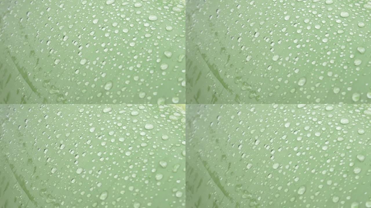 摘要背景绿芭蕉叶带水滴，雨季自然概念。