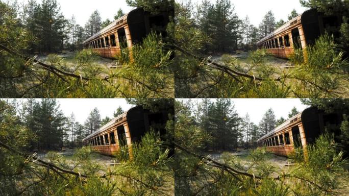 放射性切尔诺贝利森林中废弃的铁路货车。切尔诺贝利禁区。乌克兰。