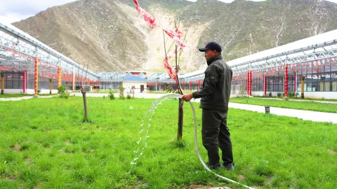 草坪浇水 草坪 灌溉水 小区 绿化 公园