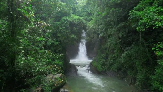 风景如画的Jima瀑布，多米尼加共和国。美丽的瀑布在热带雨林中被郁郁葱葱的树木包围