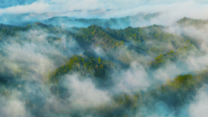 森林云海晨雾国家森林公园航拍自然风光