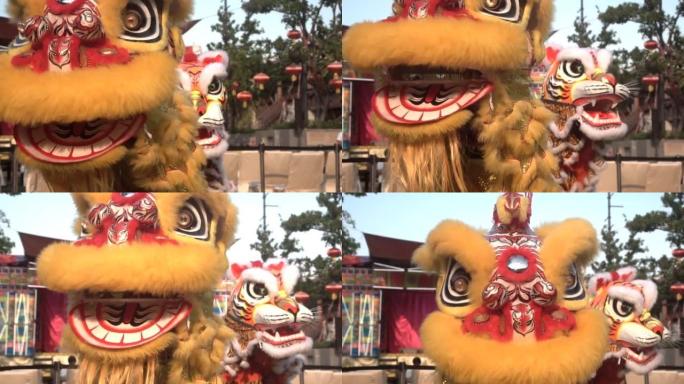 中国狮子表演，农历新年节。