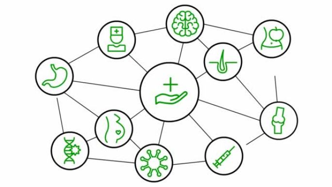 白色圆圈中的动画线医学图标。绿色符号。孤立在白色背景上的线性矢量插图。