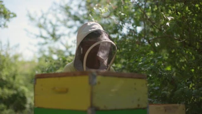 养蜂人在蜂箱上工作-蜂蜜生产的现场工作