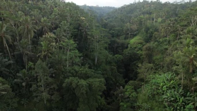 巴厘岛中部的大峡谷，雨林丛生，相机慢慢飞过